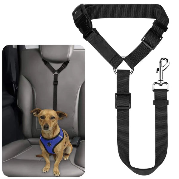 Safe and Stylish Pet Harness