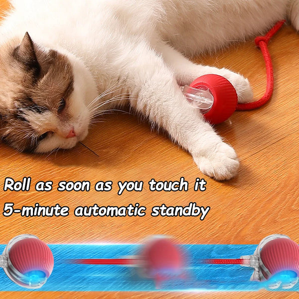 Smart Chase Cat Toy