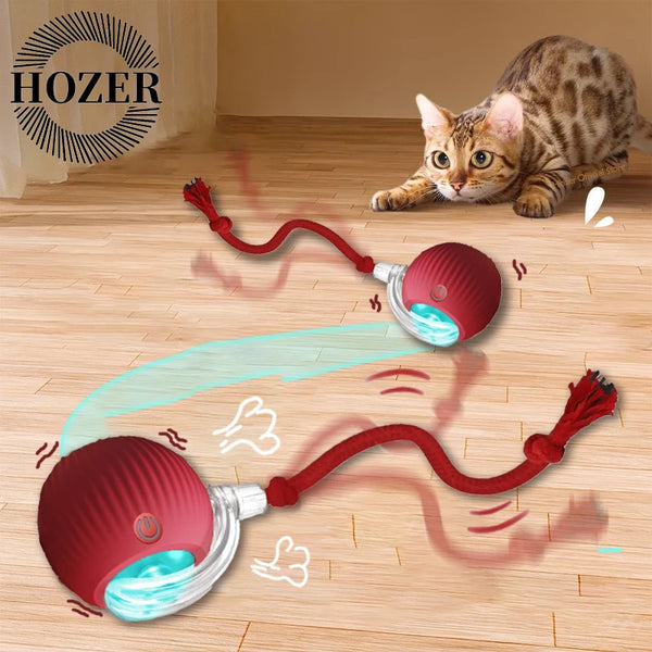 Smart Chase Cat Toy