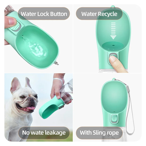 Pawsome Hydration Buddy
